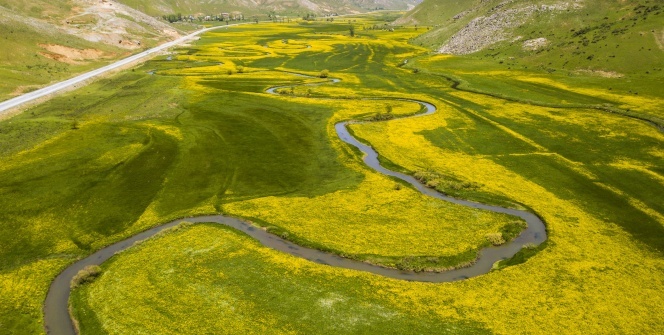 Sarı çiçeklerle bezenen menderesler görsel şölen oluşturuyor