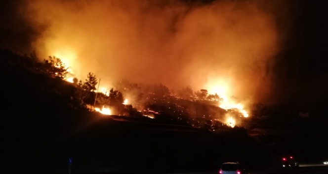 Mersin&#039;de orman yangını: 3 hektar kızılçam ormanı zarar gördü