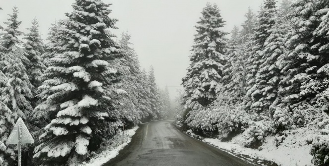 23 Mayıs’ta yağan kar şaşırttı: Her yer beyaza büründü