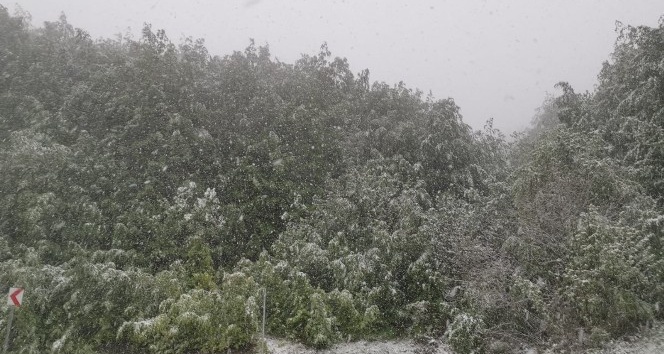 Yaralıgöz Dağı’nda Mayıs ayında kar sürprizi