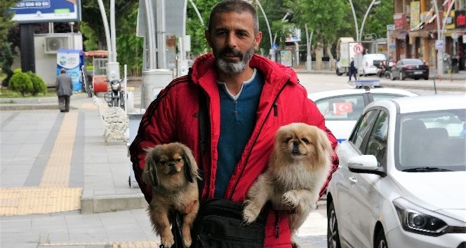 Sokağa çıkma kısıtlamasında ilk günü köpeklerini gezdirdi, yem bıraktı