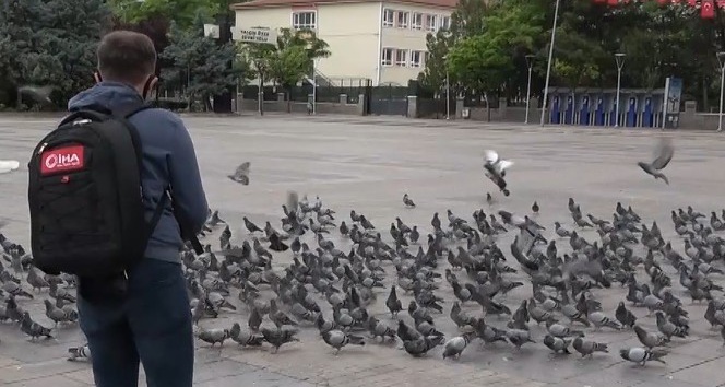 Polis ve basın güvercinleri besledi