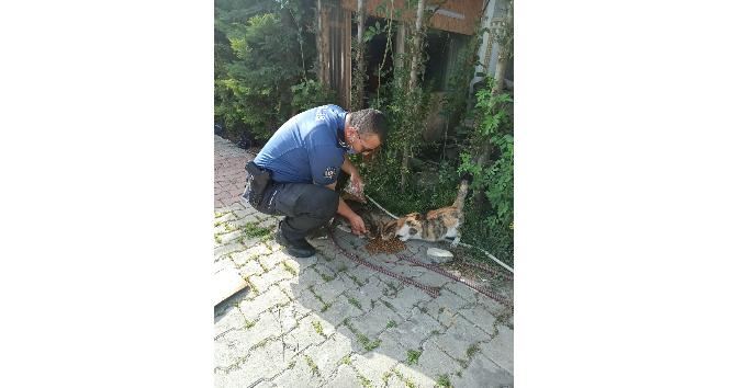 Bolu’da, polis ekipleri  sokak hayvanlarını unutmadı