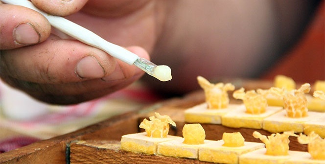 Servet değerinde! Gramı 8, kilosu 8 bin TL