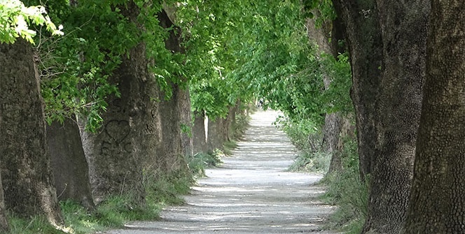 Bu yolda yürümek için Türkiye'nin her yerinden geliyorlar