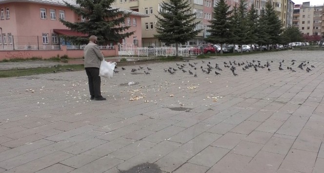 Evine aldığı ekmeği güvercinlere verdi