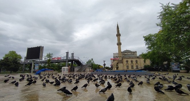 Trabzon’un Akçaabat ilçesinde meydan güvercinlere kaldı