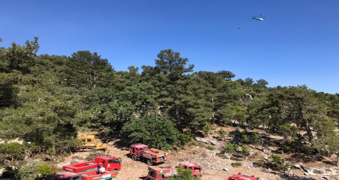 Demre’de ormanlık alanda yangın