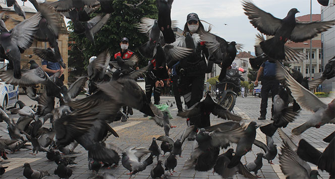 Sokağa çıkma yasağında aç kalan güvercinleri polisler besledi