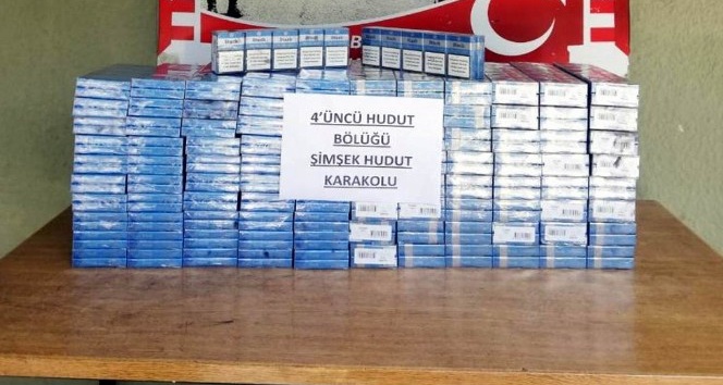 Sınırda 33 bin paket kaçak sigara yakalandı