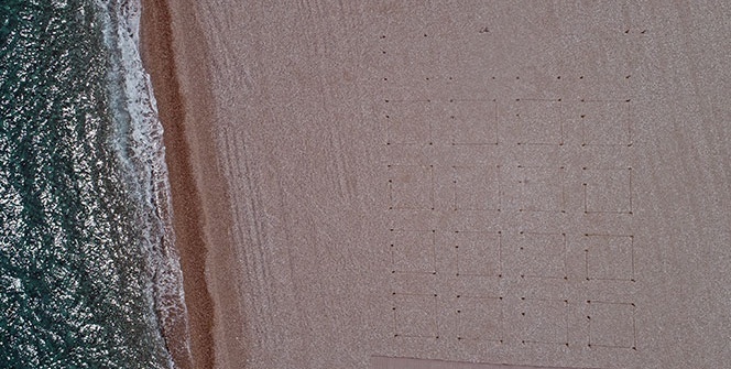 Dünyaca ünlü sahilde şezlong ve şemsiyeler sosyal mesafeli yeni düzene göre yerini aldı