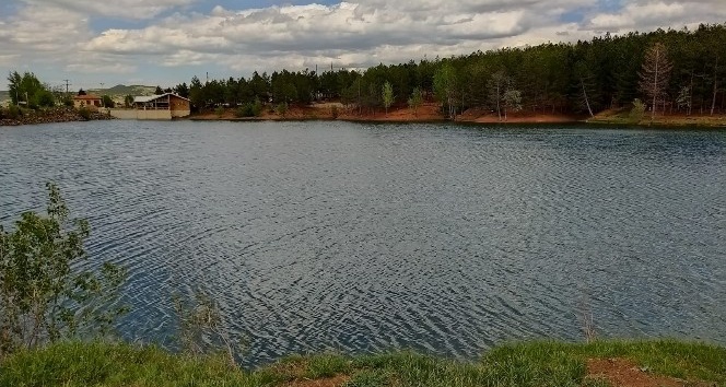 Türkiye’nin ilk mili parkı boş kaldı