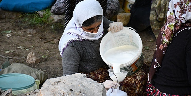 Şırnak’ta berivanların zorlu mesaisi başladı