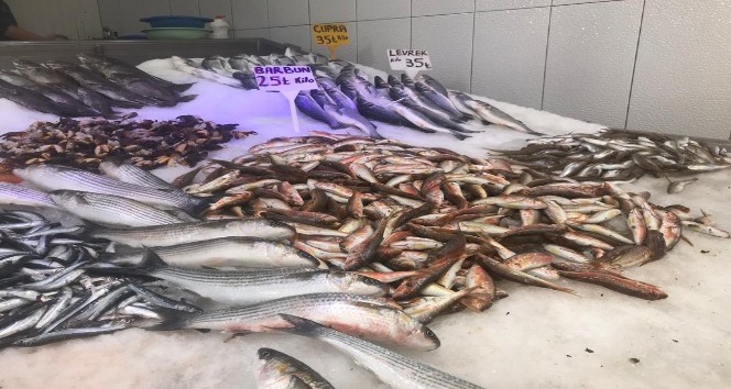 Sinop’ta korona virüs balık fiyatlarını düşürdü