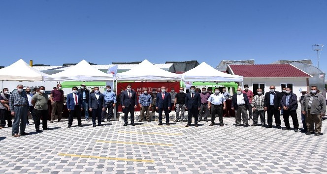 Konya Büyükşehir’den üreticiye yerli susam tohumu desteği