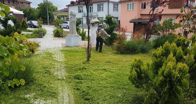 Düzce Belediyesi yabani ot temizliğine başladı