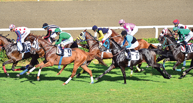 At Yarışları 10 Haziran’da yeniden başlıyor