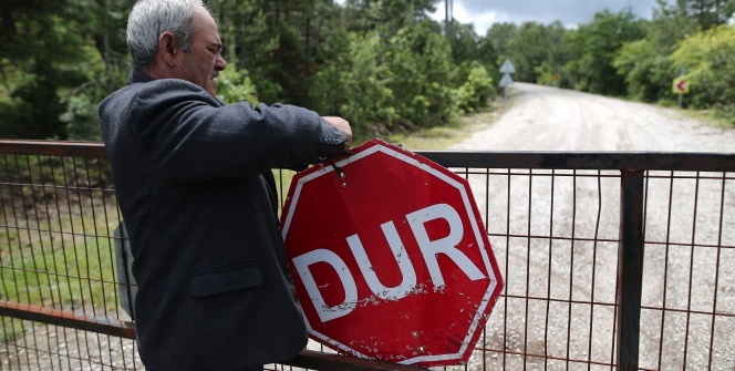 Bu da ayı karantinası!