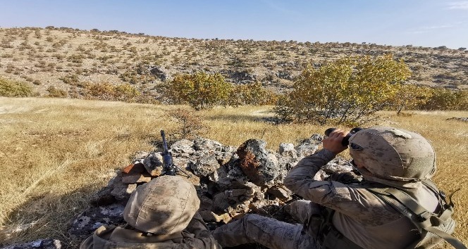 Mardin’de terör örgütü PKK ve işbirlikçilerine şafak vakti operasyon