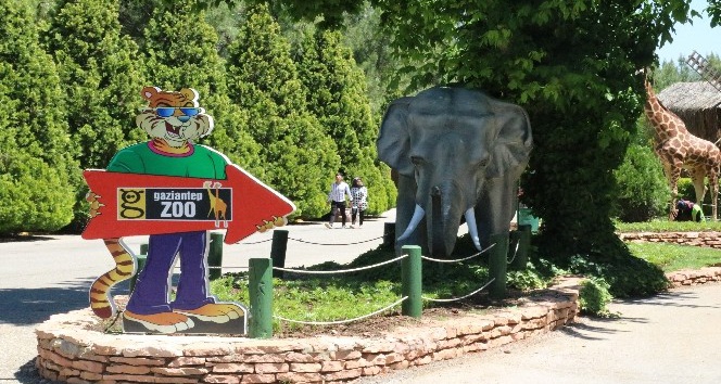 Gaziantep Hayvanat Bahçesi 2,5 ay sonra kapılarını ziyaretçilere açtı