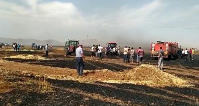 Ateşe verip kaçtılar, 600 dönüm buğday ekili tarla küle döndü