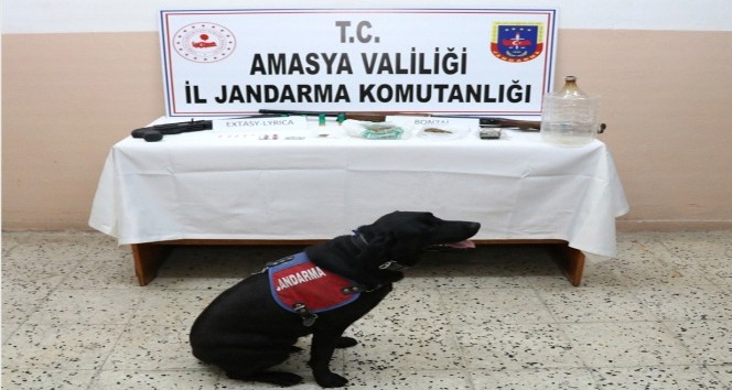 Amasya'da Uyuşturucu Ve Uyarıcı Madde Ele Geçirildi Amasya