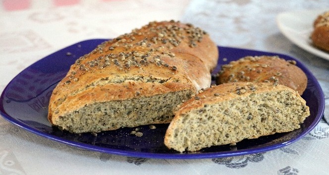 Bir zamanlar ekimi yasaktı, şimdi ekmeği üretildi