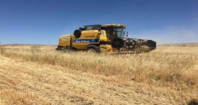 Biçerdöverlerin dane kaybı denetimi