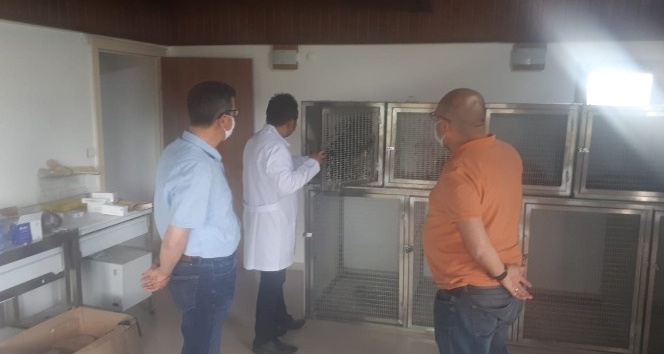 Sultan Sazlığı Milli Parkı Rehabilitasyon Merkezi yaralanan kuşların imdadına yetişecek