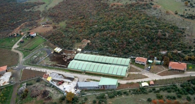 İYİ Partili Türkkan’ın çiftliği için Kocaeli İl Tarım ve Orman Müdürlüğü harekete geçti