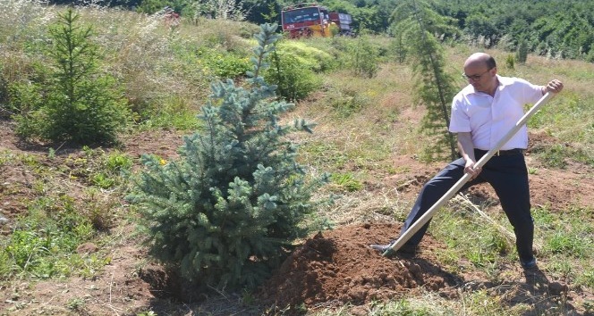 Başkan Oral: "Çevre, öncelikli konularımızdan birisidir"