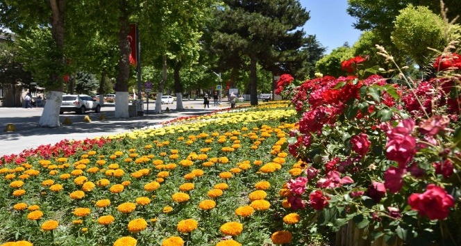 Büyükşehir Belediyesi’nden 150 bin çiçek