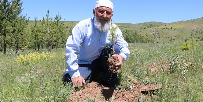70'lik delikanlı köyüne 8 bin 500 ağaç dikti