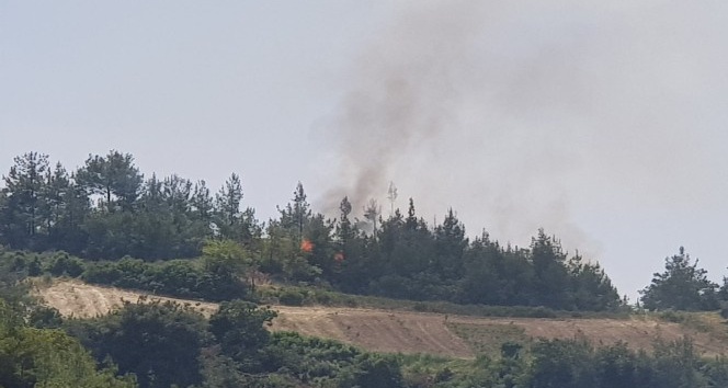 Osmaniye’de orman yangın