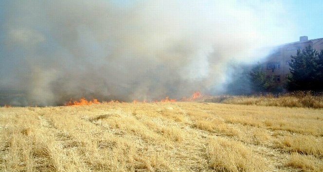 Anız yakanlara ceza uyarısı