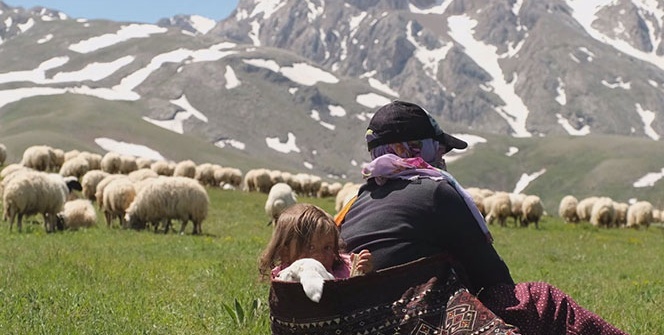Minik Şirin’in kuzuyla aynı bohçada yolculuğu