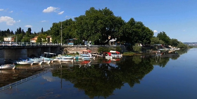 700 yıllık çınarın 97 yıldır dinmeyen kanlı gözyaşları