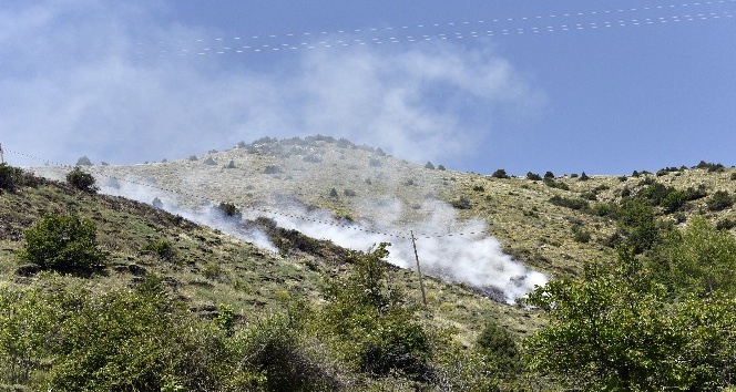 Gümüşhane’de örtü yangını