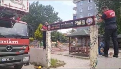 İş makinesi ile parkın girişini yıktılar, ağaçta mahsur kalan yavru kargayı kurtardılar