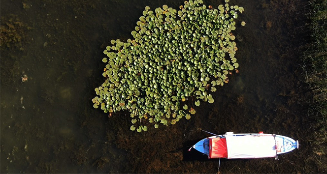 Uluabat Gölü’nün ortasında saklı güzellik...Cezası 73 bin lira
