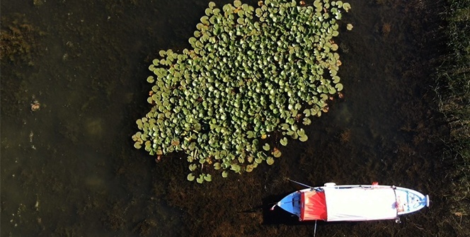 Uluabat Gölü’nün ortasında saklı güzellik...Cezası 73 bin lira