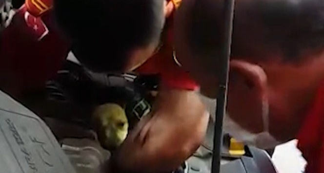 Otomobilin motorunda sıkışan köpeği itfaiye kurtardı