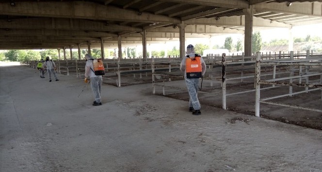 Kırıkkale’de hayvan pazarı yeniden açılıyor
