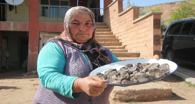Tarlasından mıknatısla tek tek 45 adet gök taşı topladı