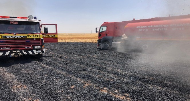 Mardin’de 200 dönüm ekili alan kül oldu
