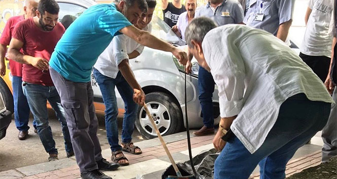 Kaldırımda yürüyen vatandaşların üzerine yılan düştü
