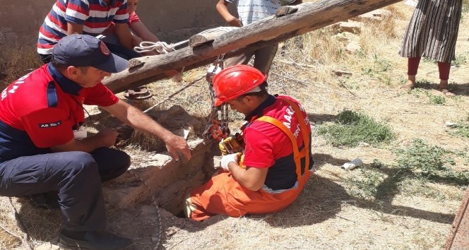 İtfaiye ekipleri kuyuya düşen yavru kedi için seferber oldu