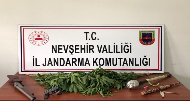Nevşehir’de İHA aracılığıyla 30 kök Hint keneviri ele geçirildi