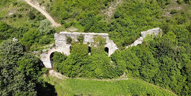 Bin 800 yıllık su kemerleri Kocaeli ormanlarında ayakta kalmak için direniyor
