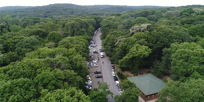 Belgrad Ormanı’nda ‘normalleşme’ yoğunluğu